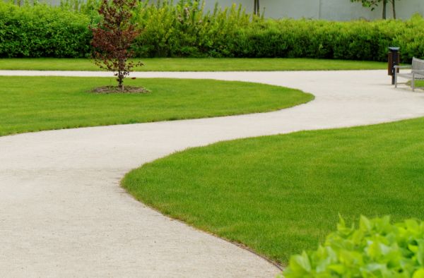 Walkway Repair in Madison