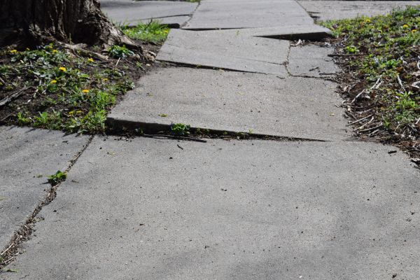 Sidewalk Hazard Repair in Madison