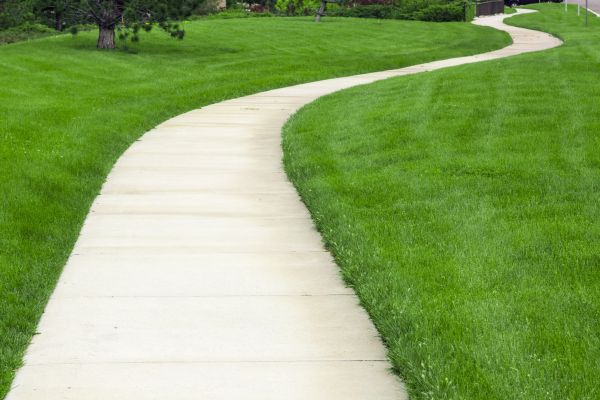 Cracked Sidewalk Repair in Madison