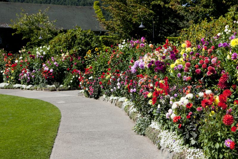 Concrete Pathway Repair